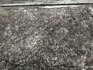 Pretty Japanese schoolgirl learns a lesson in hardcore sex